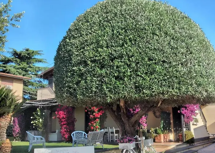 Bed & Breakfast Adry Rome